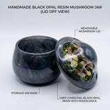 Enchanted Mini World Mushroom Jar - Black Iridescent