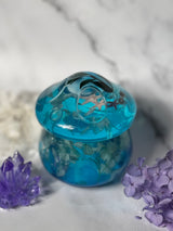 The Ocean Floor Mushroom Jar - Real Starfish and Dried Hydrangeas
